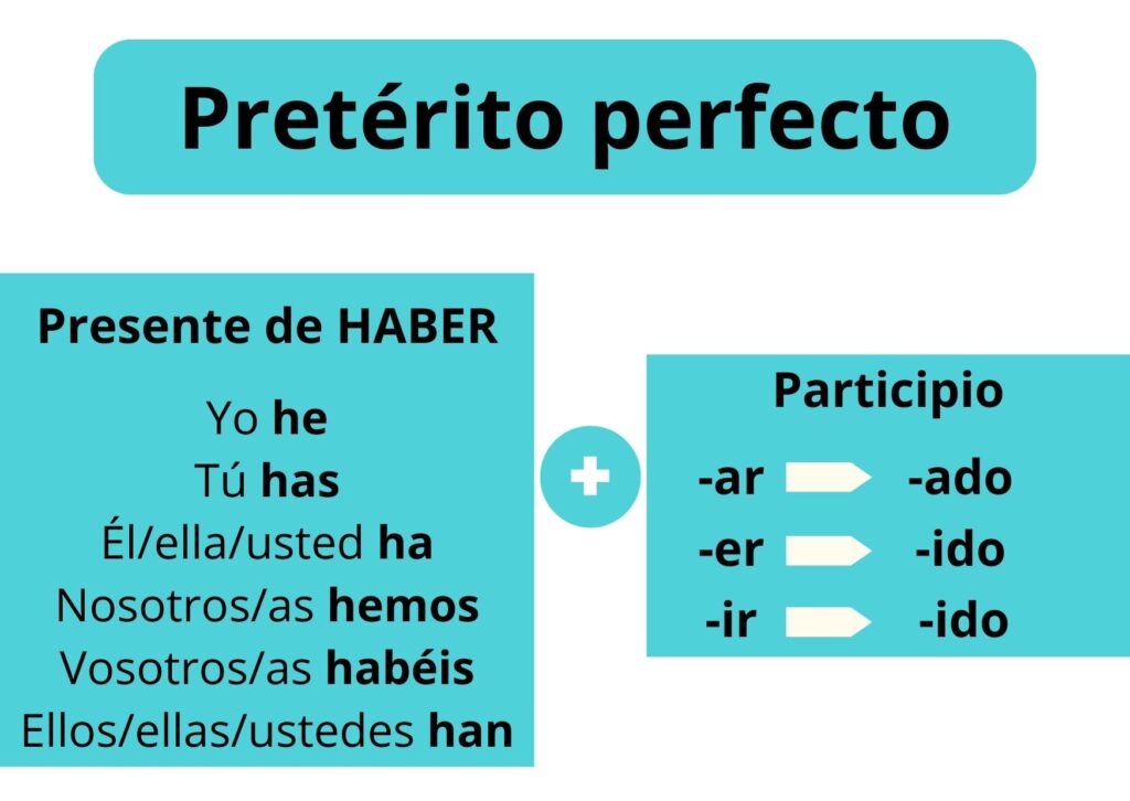 Formación del pretérito perfecto de indicativo o pretérito perfecto compuesto en español. Se forma con el presente de haber + participio.