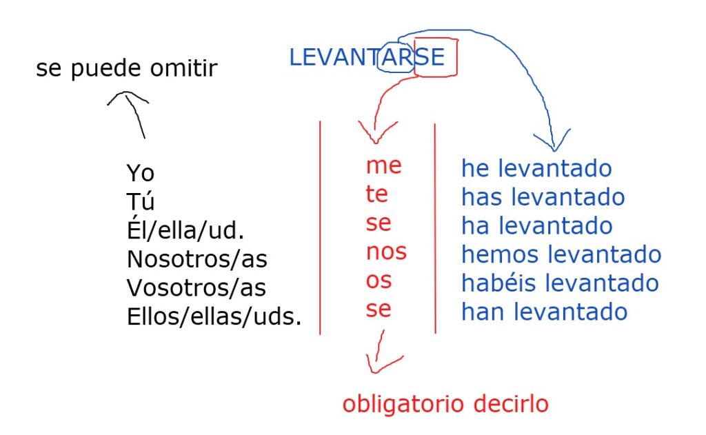Formación del pretérito perfecto o pretérito perfecto compuesto de indicativo en español de los verbos reflexivos.