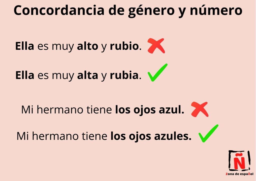 Los errores más comunes al hablar español y cómo evitarlos: concordancia de género y número.
Ella es muy alto (incorrecto). Ella es muy alta (correcto).
Mi hermano tiene los ojos azul (incorrecto). Mi hermano tiene los ojos azules (correcto).